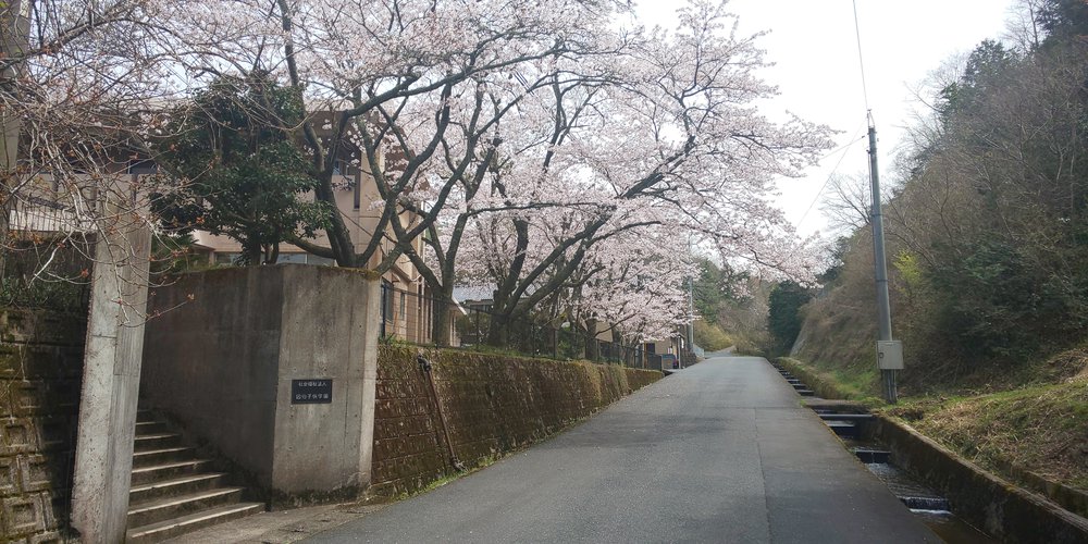東部11_因伯子供学園_写真.JPG